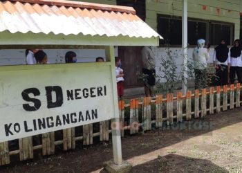 Begini Nasib Susanti Guru Honor SDN Kolingangaan