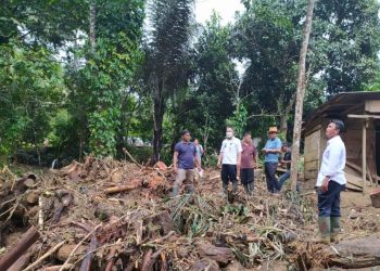 Sekda Tahlis Tinjau Langsung Lokasi Bencana