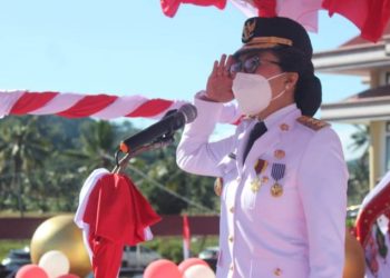 HUT Proklamasi Kemerdekaan RI Ke-75 Digelar Protokoler Covid 19