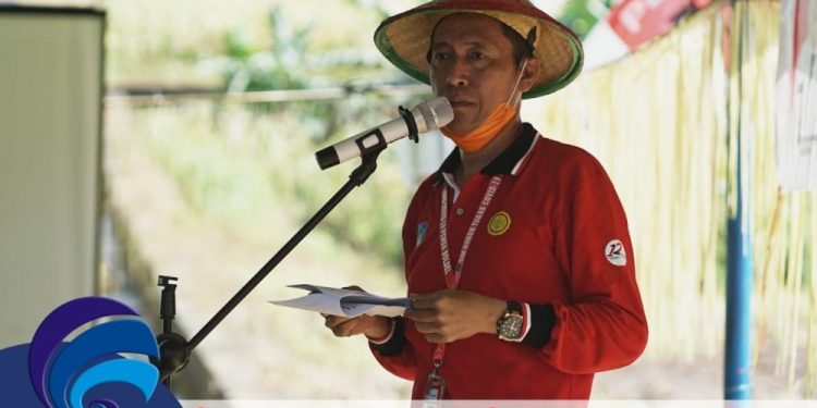 Pemda Bolsel Gelar Penanaman Jagung