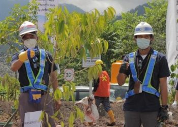 PT. PP (Persero), Tbk Tanam 3000 Pohon