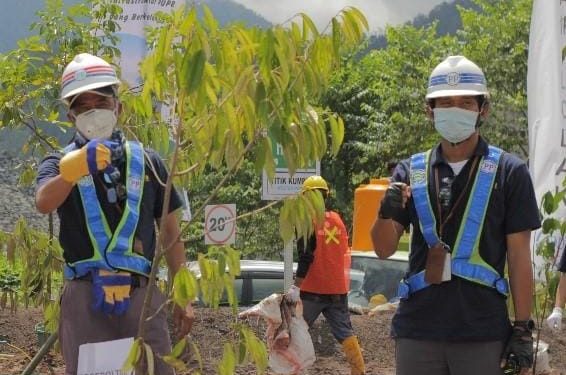 PT. PP (Persero), Tbk Tanam 3000 Pohon