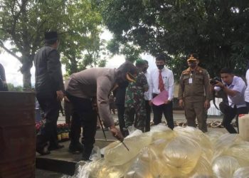 Kapolres AKBP Wahyu Purwidarso Saat Melakukan Pemusnahan Babuk Bersama Unsur Forkopimda (Foto/DD)
