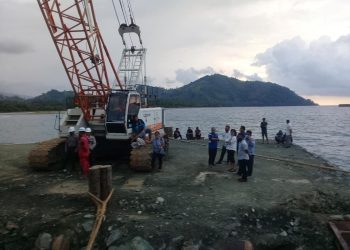 Tampak Proses Bongkar Muat dipelabuhan PLTU Binjeita (Foto/Ist)