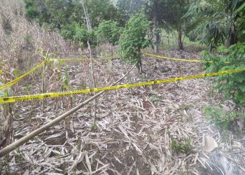 Tersengat Arus Listrik Jeratan Hewan Liar, Bocah Perempuan Desa Gihang di Bolmut Meninggal Dunia