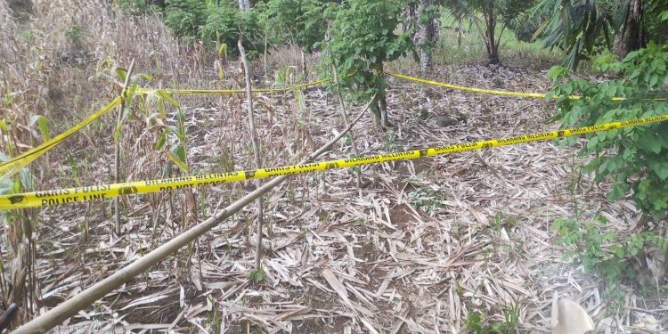 Tersengat Arus Listrik Jeratan Hewan Liar, Bocah Perempuan Desa Gihang di Bolmut Meninggal Dunia