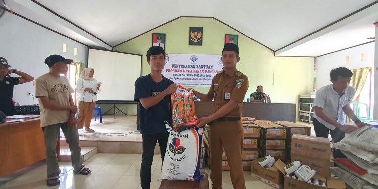 Dukung Program Ketahanan Pangan, Sangadi Bigo Serahkan Bantuan Pupuk dan Bibit Jagung Untuk Petani