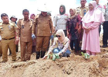 Kunjungan Kerja di Desa Insil Bersatu, Bupati Limi : Pertanian adalah Harga Mati