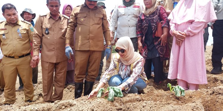 Kunjungan Kerja di Desa Insil Bersatu, Bupati Limi : Pertanian adalah Harga Mati