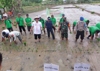 Dua Hari Kunjungan Kerja Bupati Limi Mokodompit, Tanam Holtikultura dan Padi untuk Wujudkan Ketahanan Pangan Desa