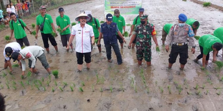 Dua Hari Kunjungan Kerja Bupati Limi Mokodompit, Tanam Holtikultura dan Padi untuk Wujudkan Ketahanan Pangan Desa
