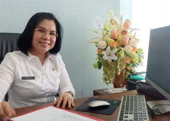 DPM-PTSP Bolmong Kejar Target Pelayanan Dalam Kondisi Minim Anggaran