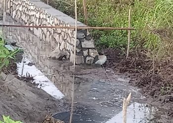 Tanpa Papan Nama, Proyek Irigasi Desa Kopi di Bintauna Tuai Sorotan