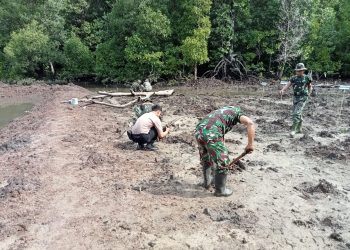 Dukung Program Pemerintah, Polsek Pinogaluman dan Koramil Kaidipang Laksanakan Rehabilitasi Hutan Mangrove