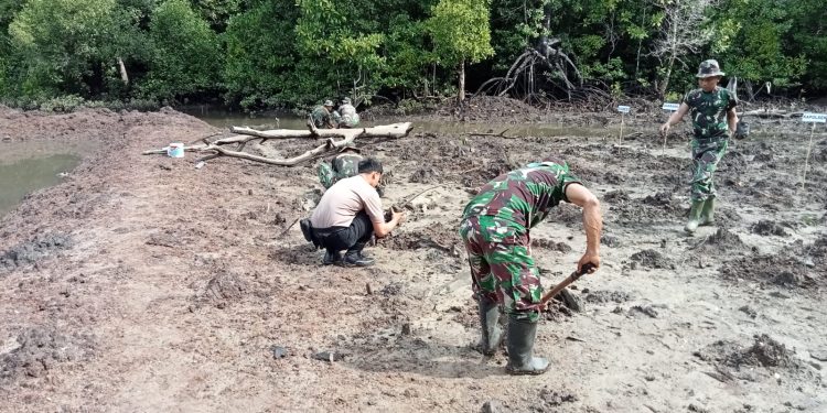 Dukung Program Pemerintah, Polsek Pinogaluman dan Koramil Kaidipang Laksanakan Rehabilitasi Hutan Mangrove