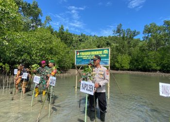 Antisipasi Perubahan Iklim, Kapolsek Sangkub Dan Aparat TNI Bintauna Rehabilitasi Hutan Mangrove