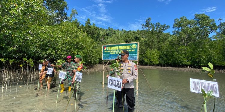 Antisipasi Perubahan Iklim, Kapolsek Sangkub Dan Aparat TNI Bintauna Rehabilitasi Hutan Mangrove