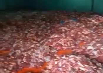 Viral Satu Dusun di Provinsi Ini Berkurban 73 Sapi dan 254 Kambing