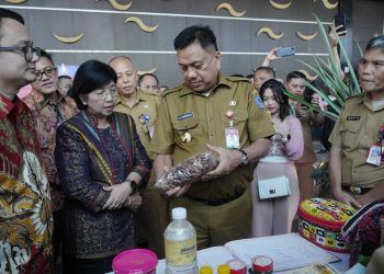 Peluang Investasi Bolaang Mongondow di North Sulawesi Investment Forum 2023