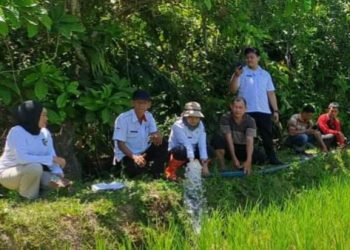 Ini Cara Dinas Pertanian Antisipasi Dampak Kekeringan El Nino di Bolmut 