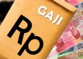 Sri Mulyani Tetapkan Gaji Honorer Sopir Tahun Depan, Di Sulut Ini Jumlahnya 