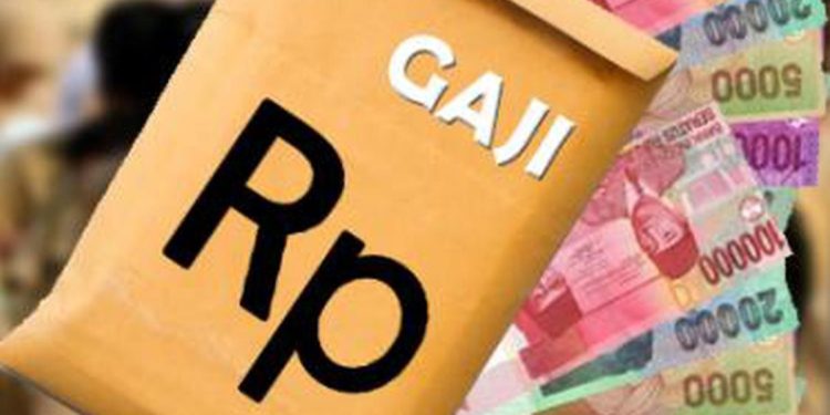 Sri Mulyani Tetapkan Gaji Honorer Sopir Tahun Depan, Di Sulut Ini Jumlahnya