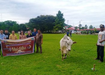 Bank Sulutgo Cabang Lolak Sumbang Satu Ekor Sapi Qurban
