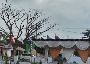 Pohon Depan Kantor KPUD Bolmut Ancam Keselamatan Warga