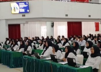 Nasib PPPK 2024 Usai Pemerintah Tunda Pengangkatan