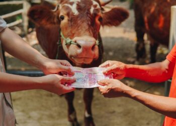 Catat, Ini Tanggal Main Koperasi Desa Merah Putih 