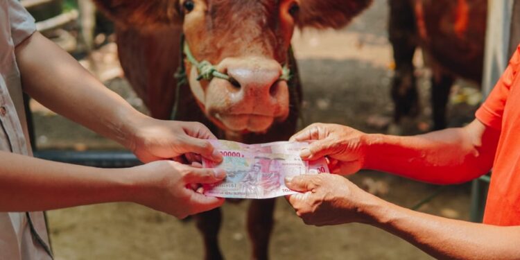 Catat, Ini Tanggal Main Koperasi Desa Merah Putih 