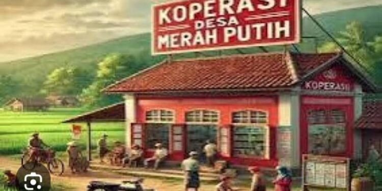 65 Desa di Boltara Telah Membentuk Koperasi Merah Putih, Dikabarkan Akan Dapat Suntikan Dana 3 Miliar