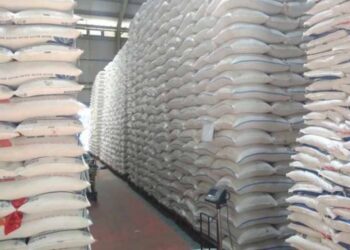 Bolmong Masih Aman Ketersediaan Beras, Pemda Turun Tangan Intervensi Pelonjakan Harga