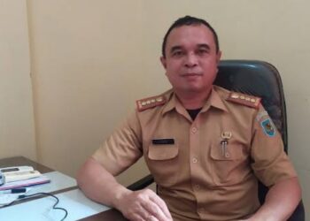 Melonjaknya Harga Komoditi Beras Sulut, Bolmong Berbenah Produktifitas Padi Sawah