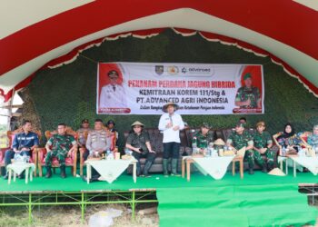 Bupati Yusra Dampingi Danrem 131 Santiago Tanam Jagung Hibrida