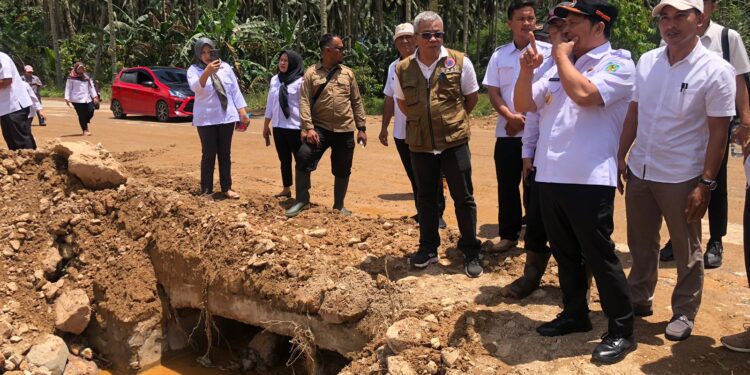 Puluhan Hektar Sawah Desa Bakan Beralih Status Gara-Gara Aktifitas Pertambangan