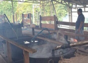Usaha Penyulingan Nilam Prospek PAD 